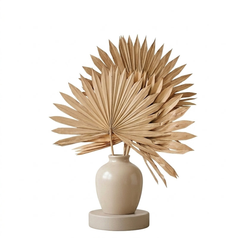 (Brown) Sun Palm Spear (20 cms) - Set Of Five Stems media 5