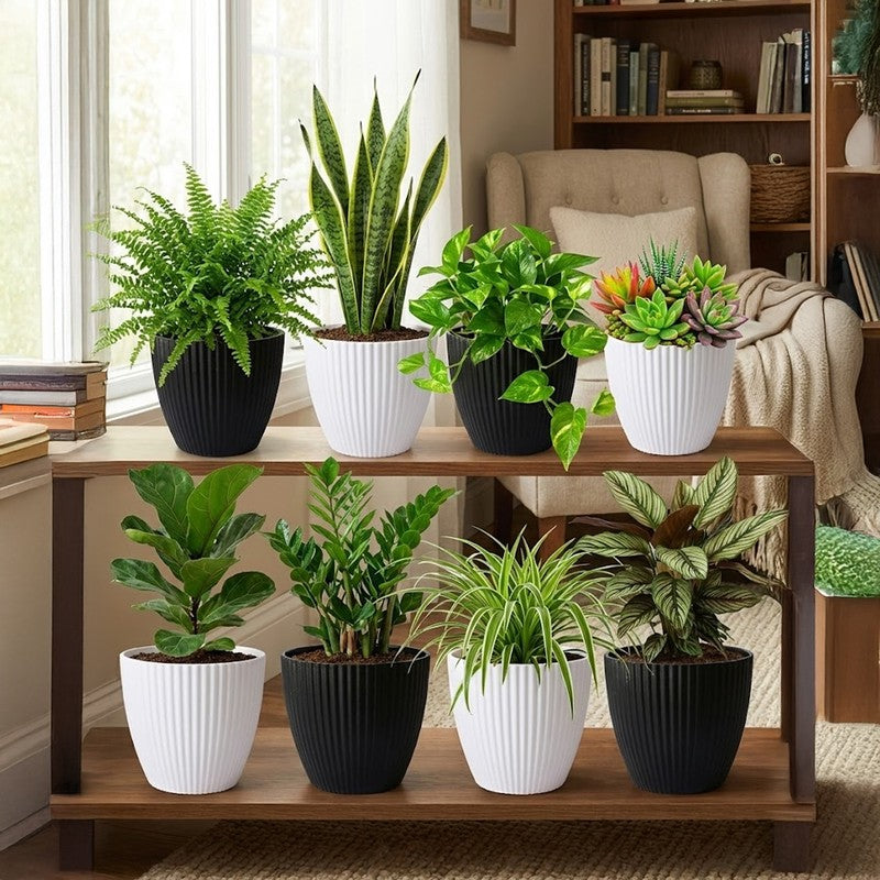 Arelis Textured Melamine Planter - Set Of Eight media 3