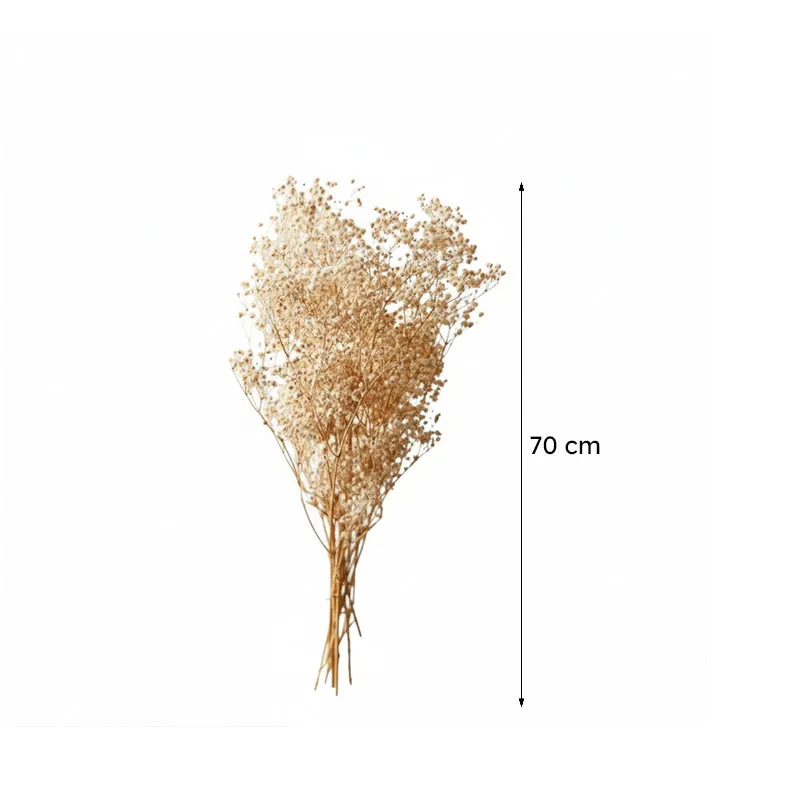 Naturally Dried Gypsophila Baby Breath Flowers (White) - Set Of Five media 7