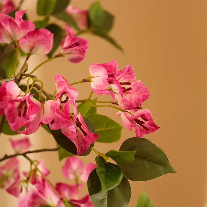 Artificial Bougainvillea Plant With Black Plastic Pot - 5 ft media 8