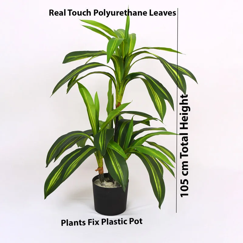 Lushly Artificial Draceana With Black Plastic Pot - 3 Feet media 6