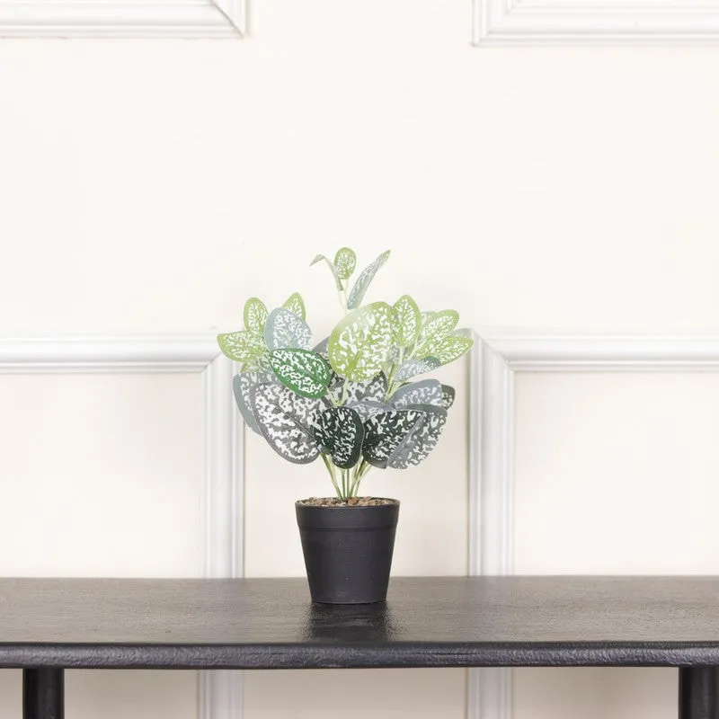 Artificial Dotted Philodendron Plant With Black Fiber Pot (White) - 0.9 Feet media 3
