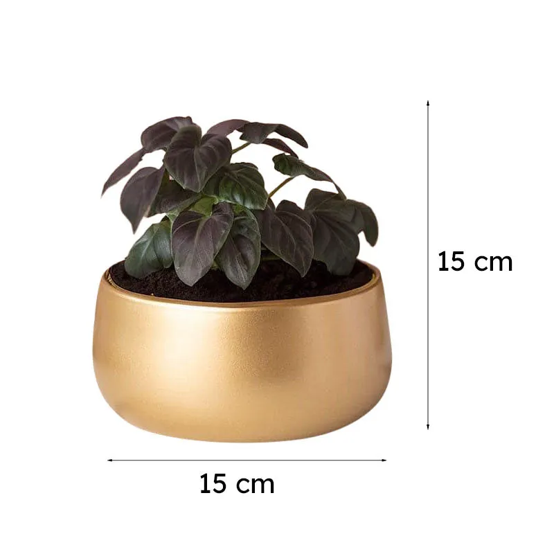 Bram Metal Pot media 6
