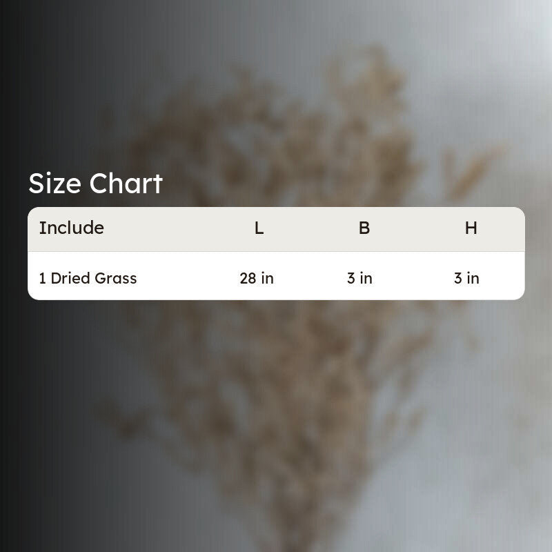 Ariel Dried Statice Flower Bunch media 6