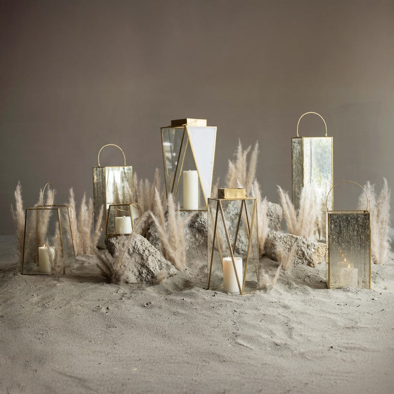 Orange Tree Alex Lantern media 8