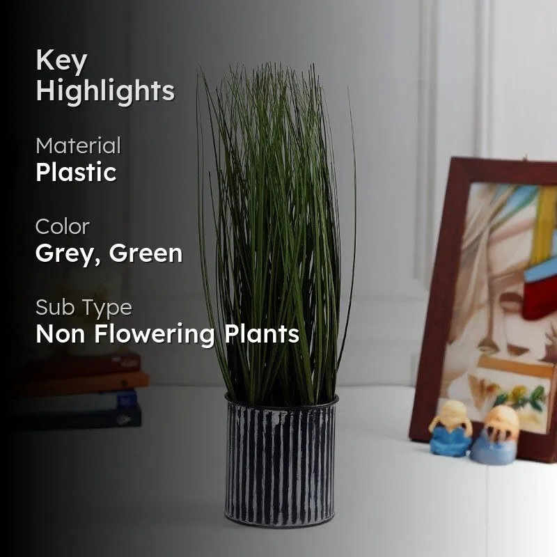 Faux Onion Grass Bonsai (38 cms) - Short media 2
