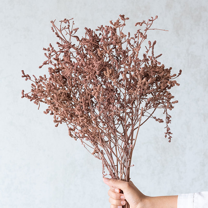 Dried Flowers & Leaves
