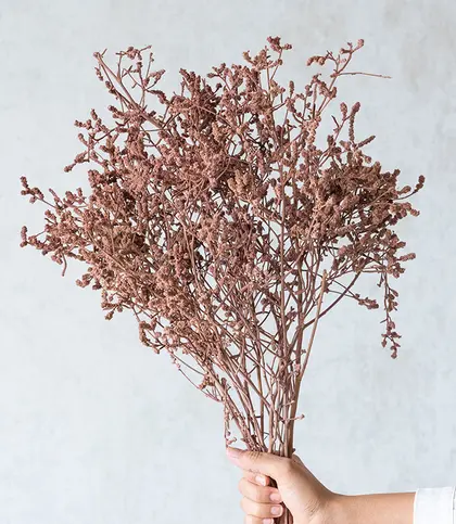Dried Flowers & Leaves