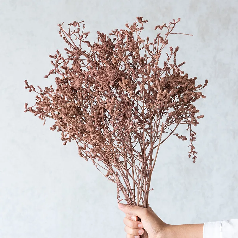 Ariel Dried Statice Flower Bunch - Rustic Pink media 1