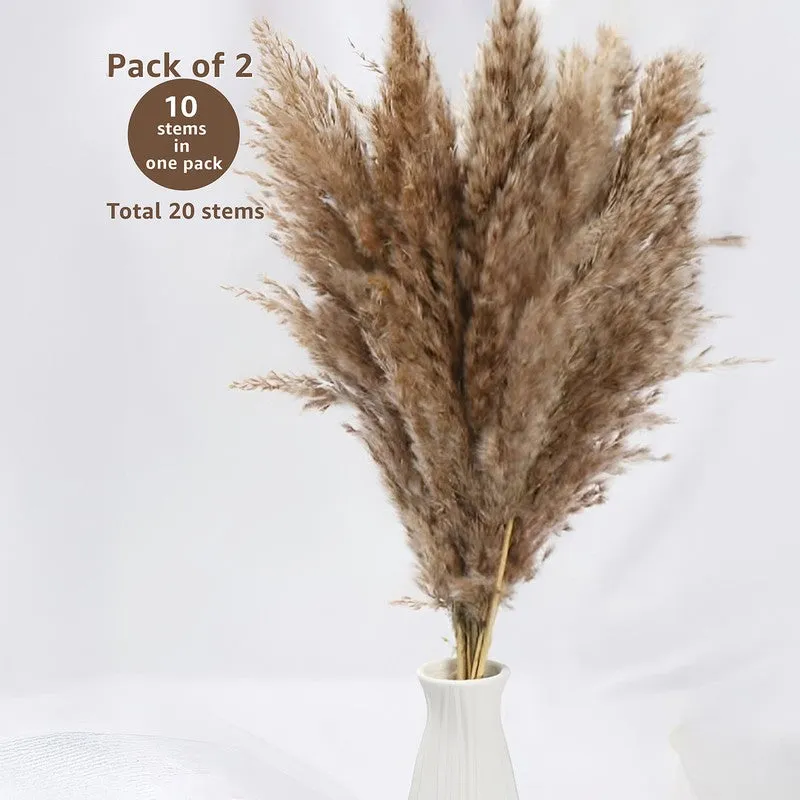 Savannah Artificial Pampas Stem (Brown) - Set Of Four media 4