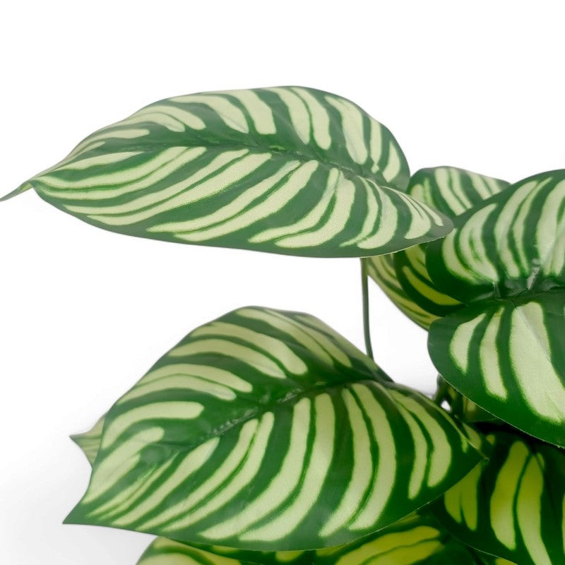 TerraLeaf Artificial Plant - 1.5 Feet media 5
