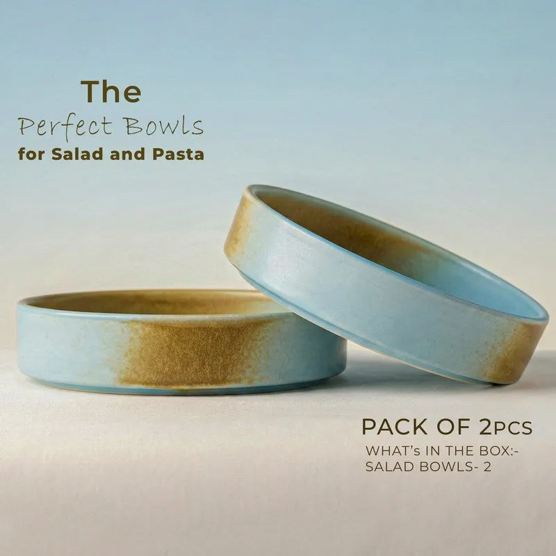 Whimsi Ceramic Salad Bowl (600 mL Each,Brown,Blue) - Set Of Two media 4