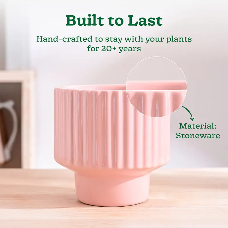 Ugaoo Classic Stria Ceramic Planter - Soft Pink media 3