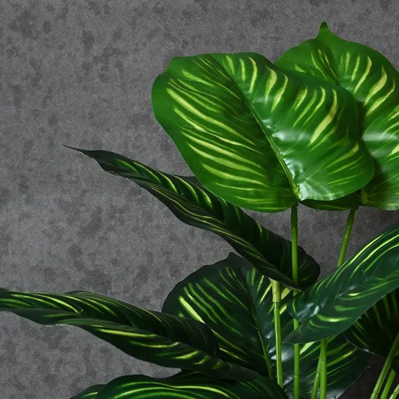 Faux Everlasting Calathea Orbifolia Plant With Black Plastic Pot - 65 cm (2.1 ft) media 4