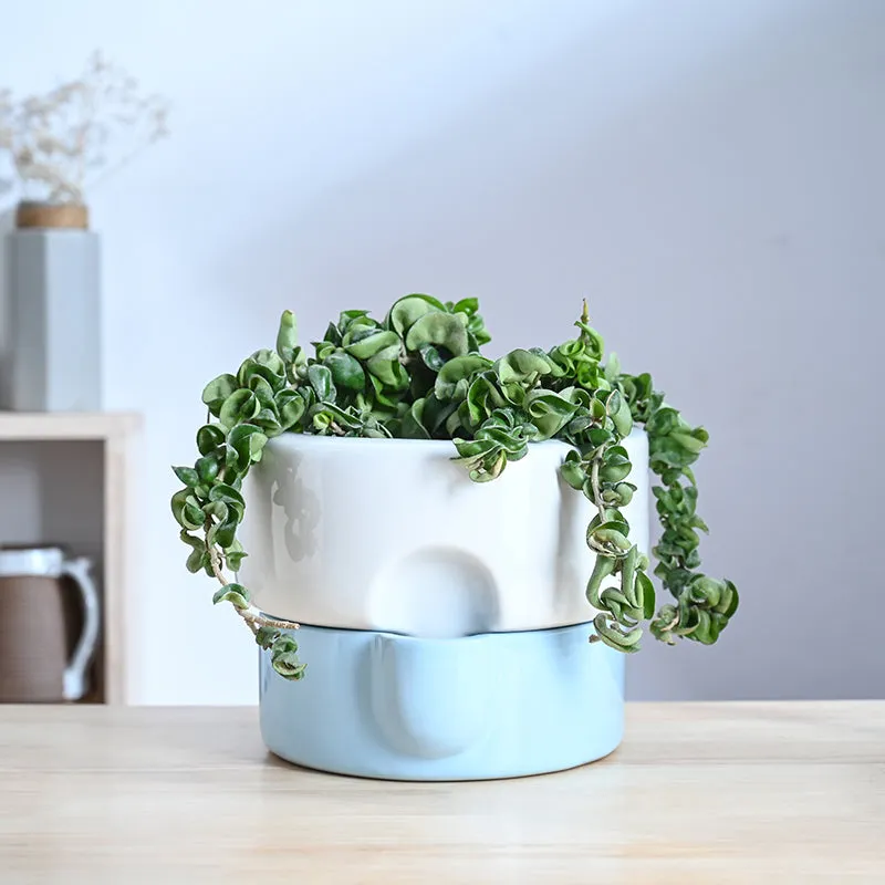 Ugaoo Lady Leafington Ceramic Planter - White & Blue media 2