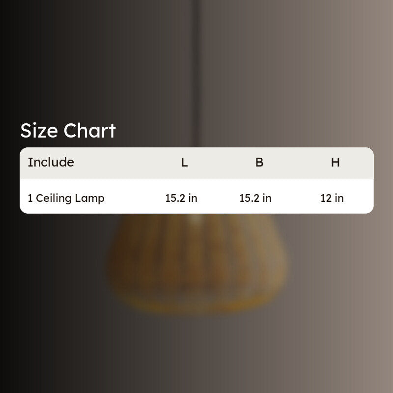 Fig Living Urban Rustica I Ceiling Lamp media 9