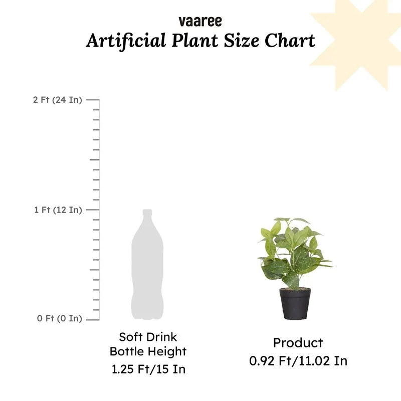 Artificial Grey Croton Plant With Black Fiber Pot - 0.9 Feet media 7