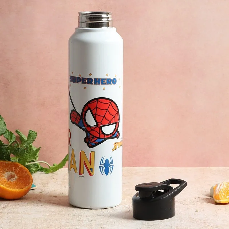Spidey Kid Sipper Water Bottle - 1000 mL media 3