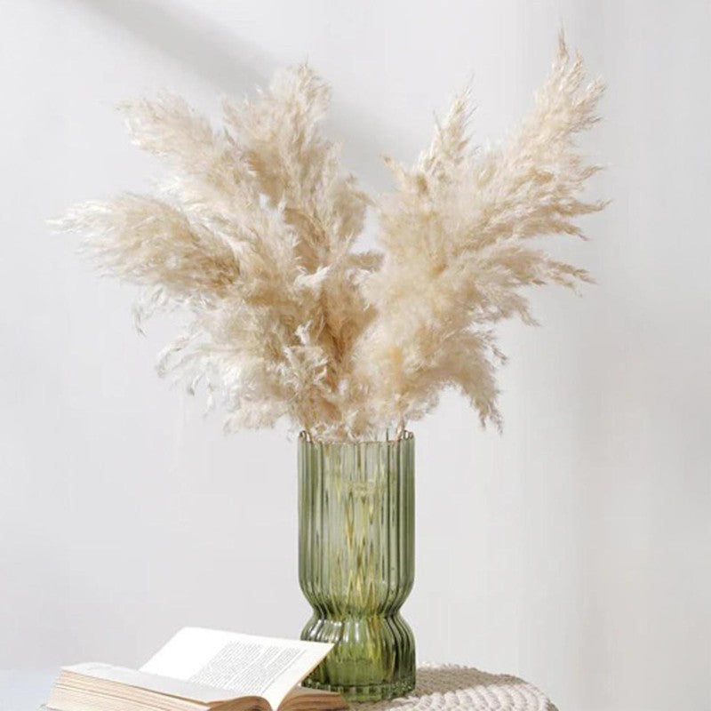 Savannah Artificial Pampas Stem (Off White) - Set Of Four media 5