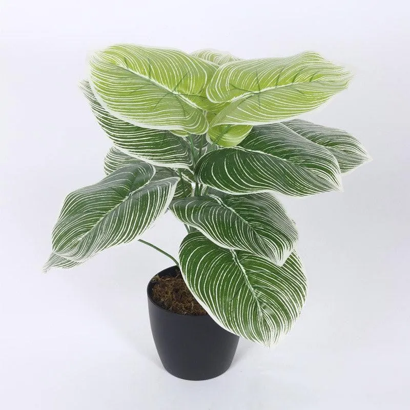 Faux Realtouch White Dieffenbachia Tree With Black Plastic Pot - 1.8 Feet media 4