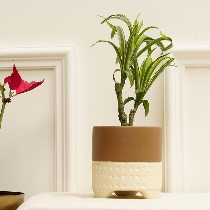 Terazzo Terracotta Perpendicular Planter media 3