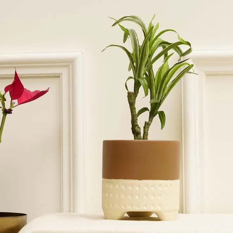 Terazzo Terracotta Perpendicular Planter media 3