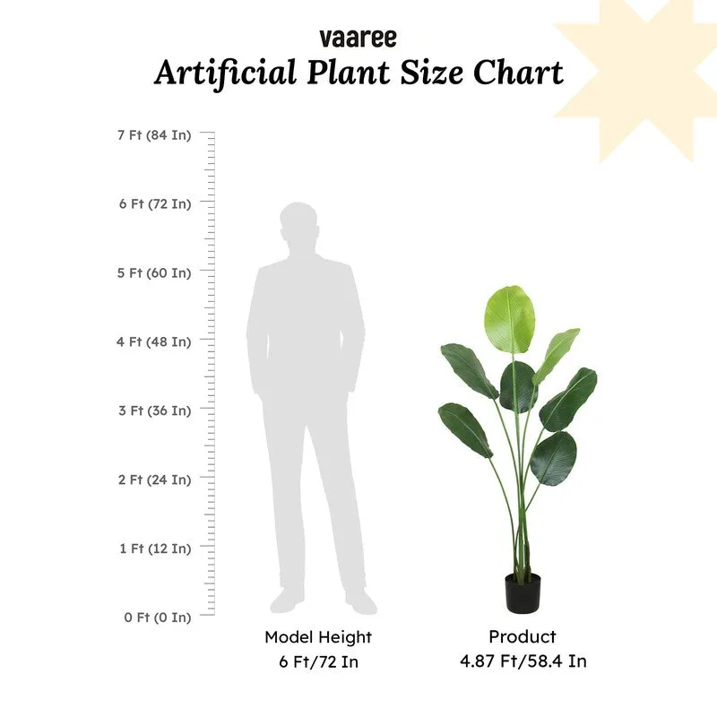 Artificial Calathea Plant With Black Fiber Pot - 4.8 Feet media 7