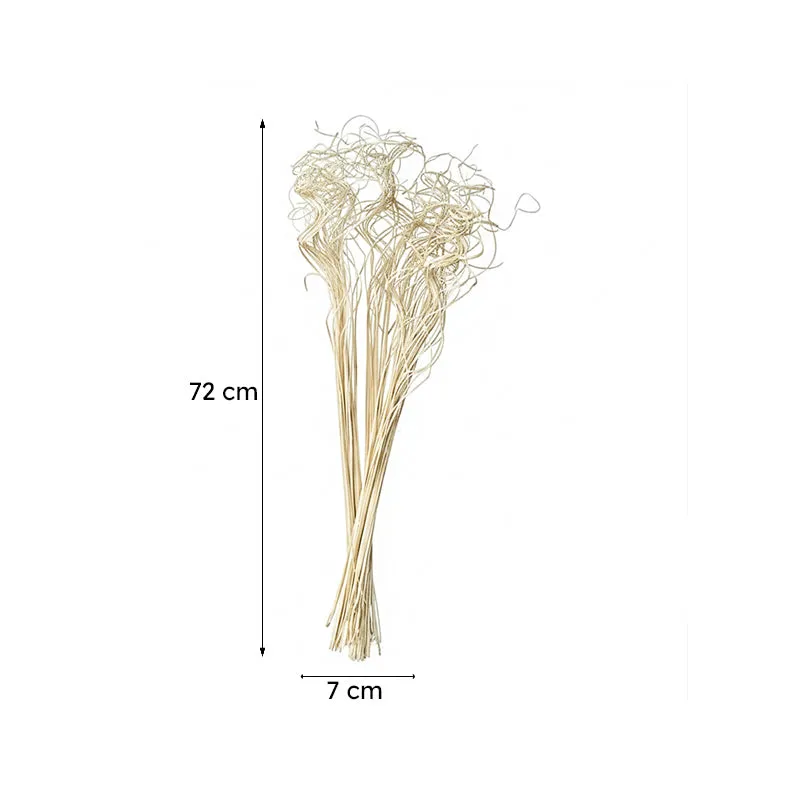 Moonstem Dried Stalk media 7