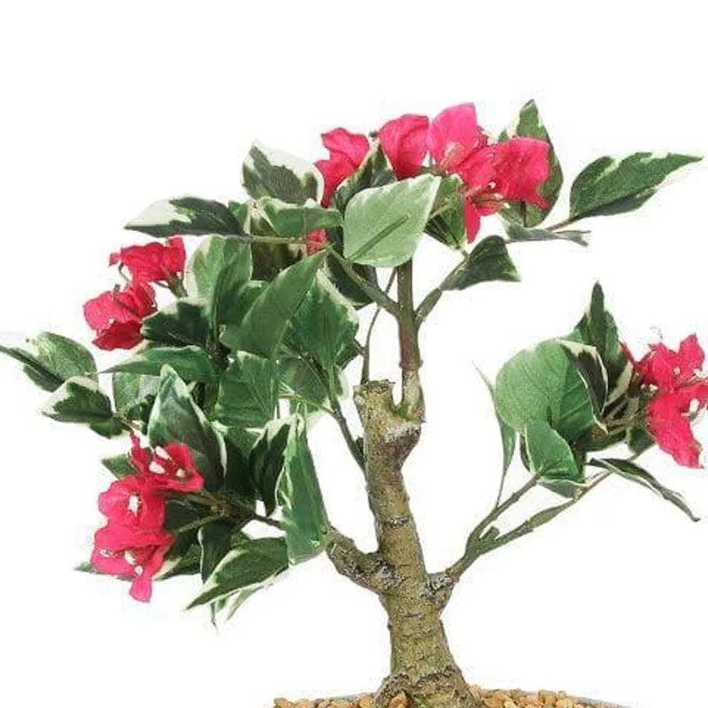 Faux Pink Bougainvillea Bonsai (24 cms) - Big media 4