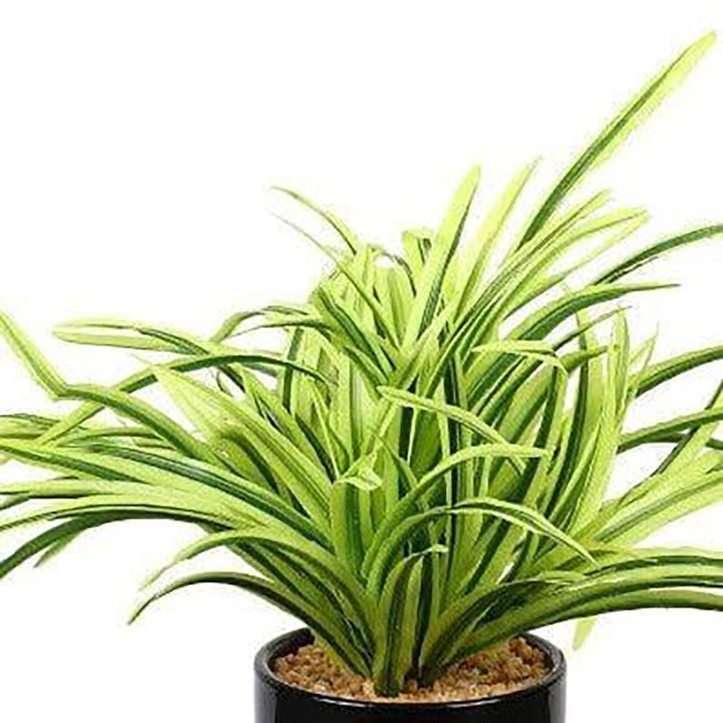 Faux Big Dracaena Bonsai (27 cms) - Yellow media 3