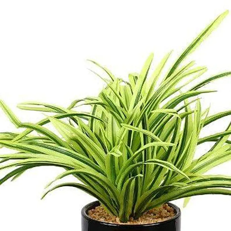Faux Big Dracaena Bonsai (27 cms) - Yellow media 3