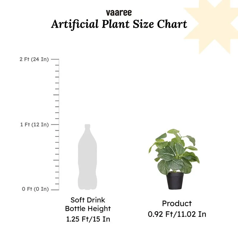 Artificial Fittonia Leaf Plant With Black Fiber Pot - 0.9 Feet media 7