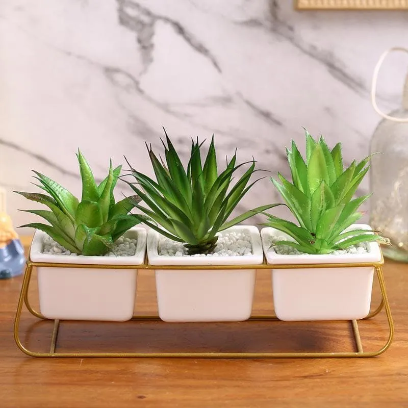 Faux Triad Succulent In Pot - 15.5 cms media 1