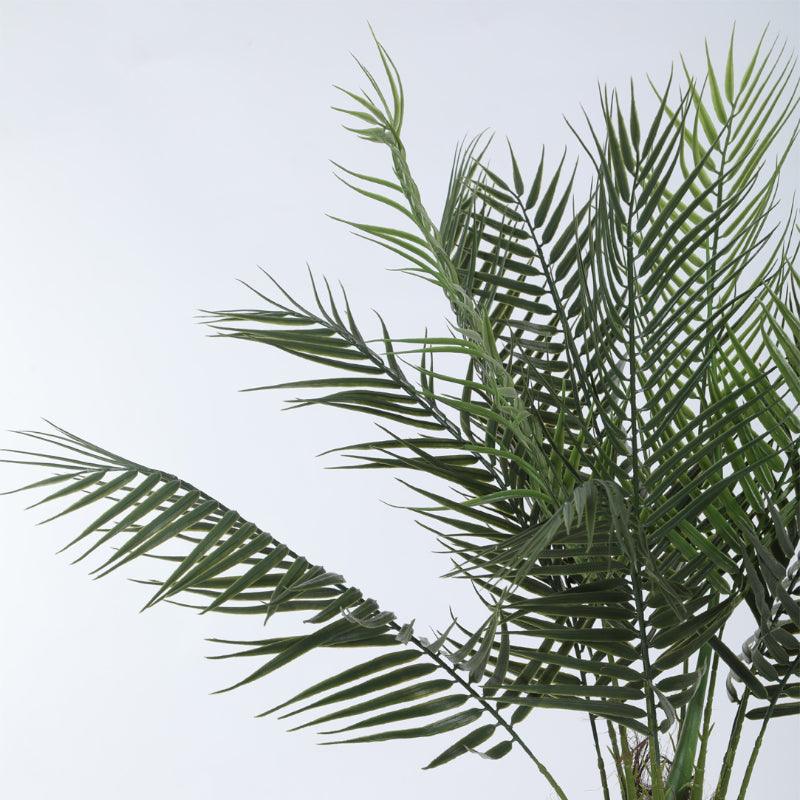 Faux Tropical Areca Plant With Black Plastic Pot - 4.92 ft media 5