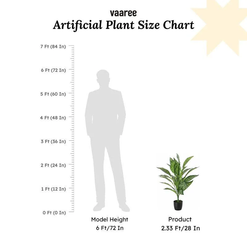 Faux Light Green Croton Plant With Black Plastic Pot - 2.2 Feet media 6