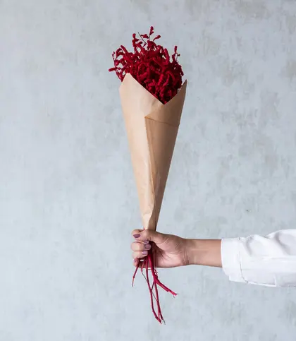 Dried Flowers & Leaves