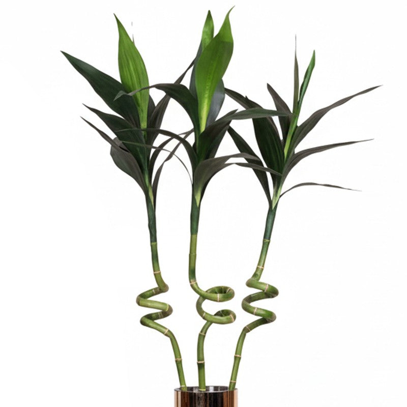 Artificial Spiral Bamboo Stick Without Pot (4.4 Feet) - Set Of Three media 6