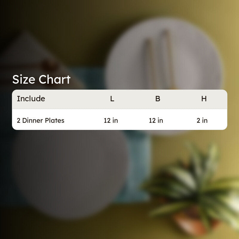 Crown Dinner Plate - Grey - Set Of Two media 8