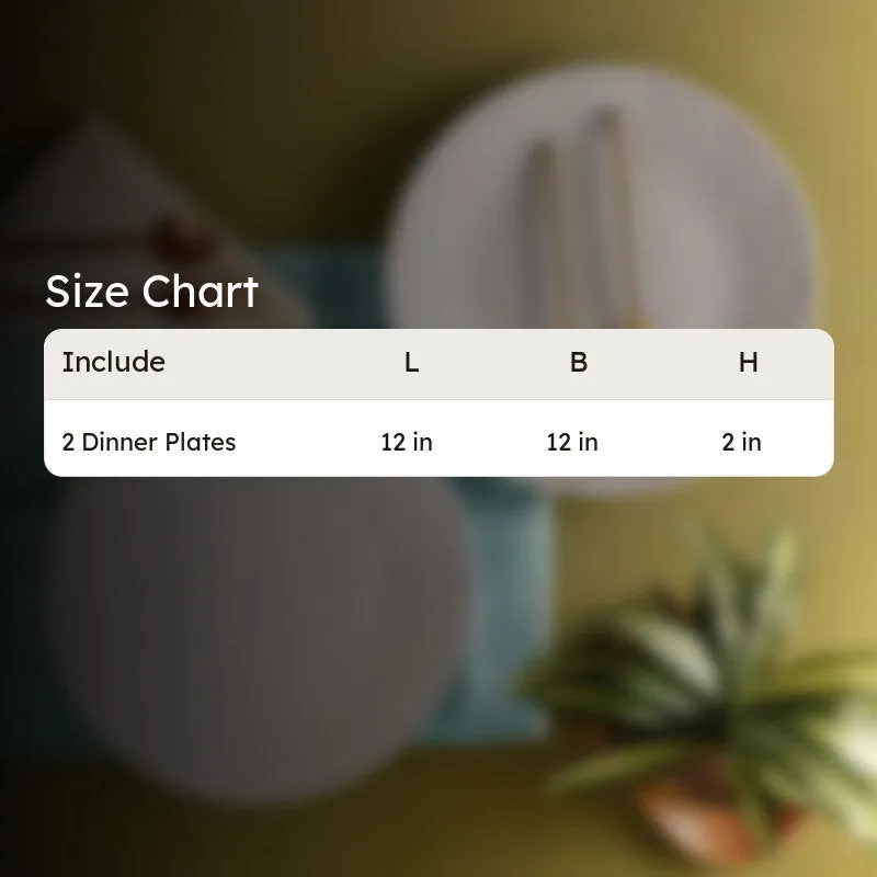 Crown Dinner Plate - Grey - Set Of Two media 8