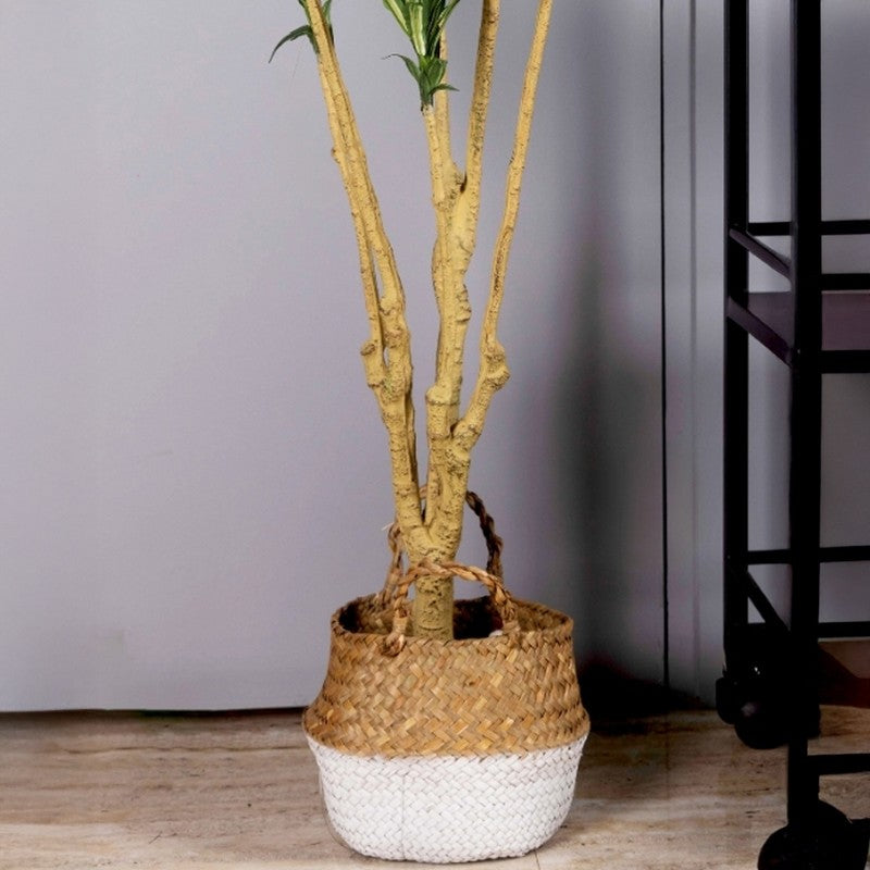 Artificial Yellow Small Leaf Dracaena Plant Without Pot - 3.4 Feet media 3
