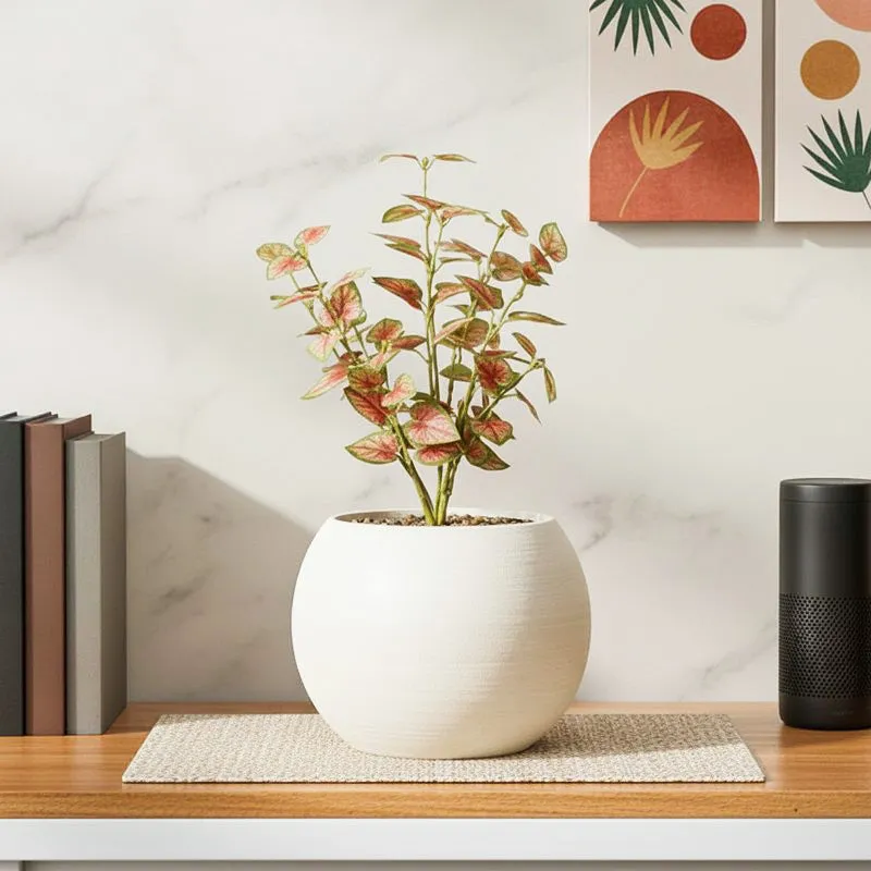 Artificial Coleous Plant With Black Fiber Pot (Brown) - 1 Feet media 1