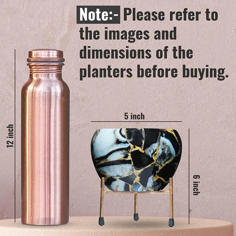 Size reference graphic showing planter scale beside a bottle