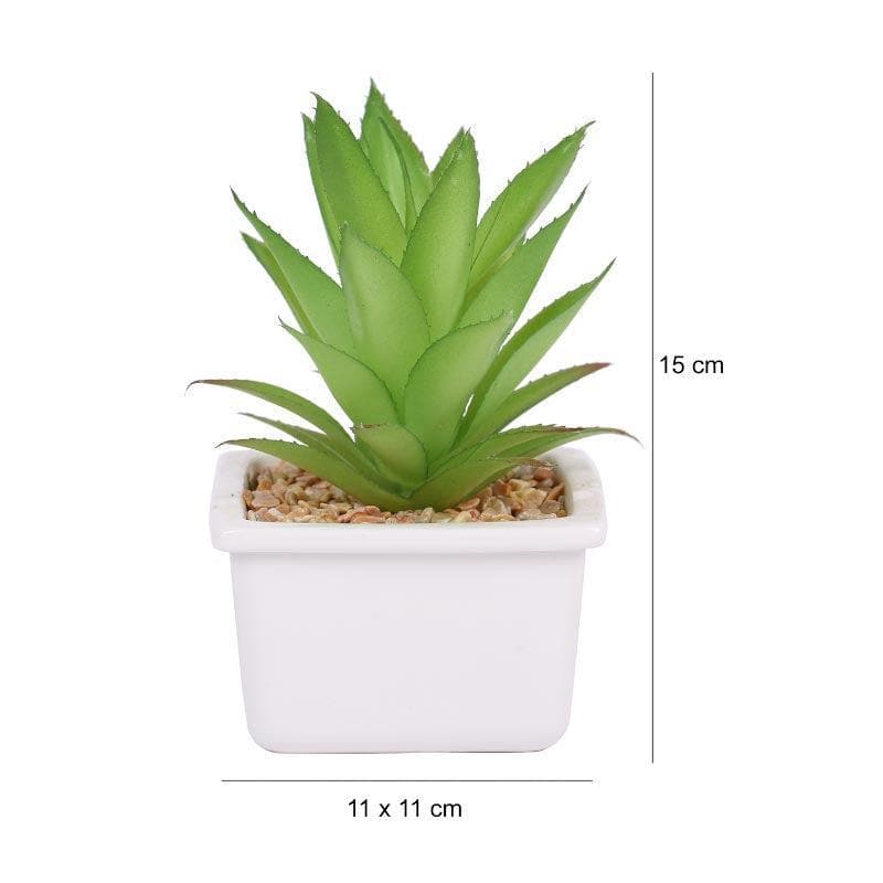 Faux Agave In White Pot - 14.5 cms media 5
