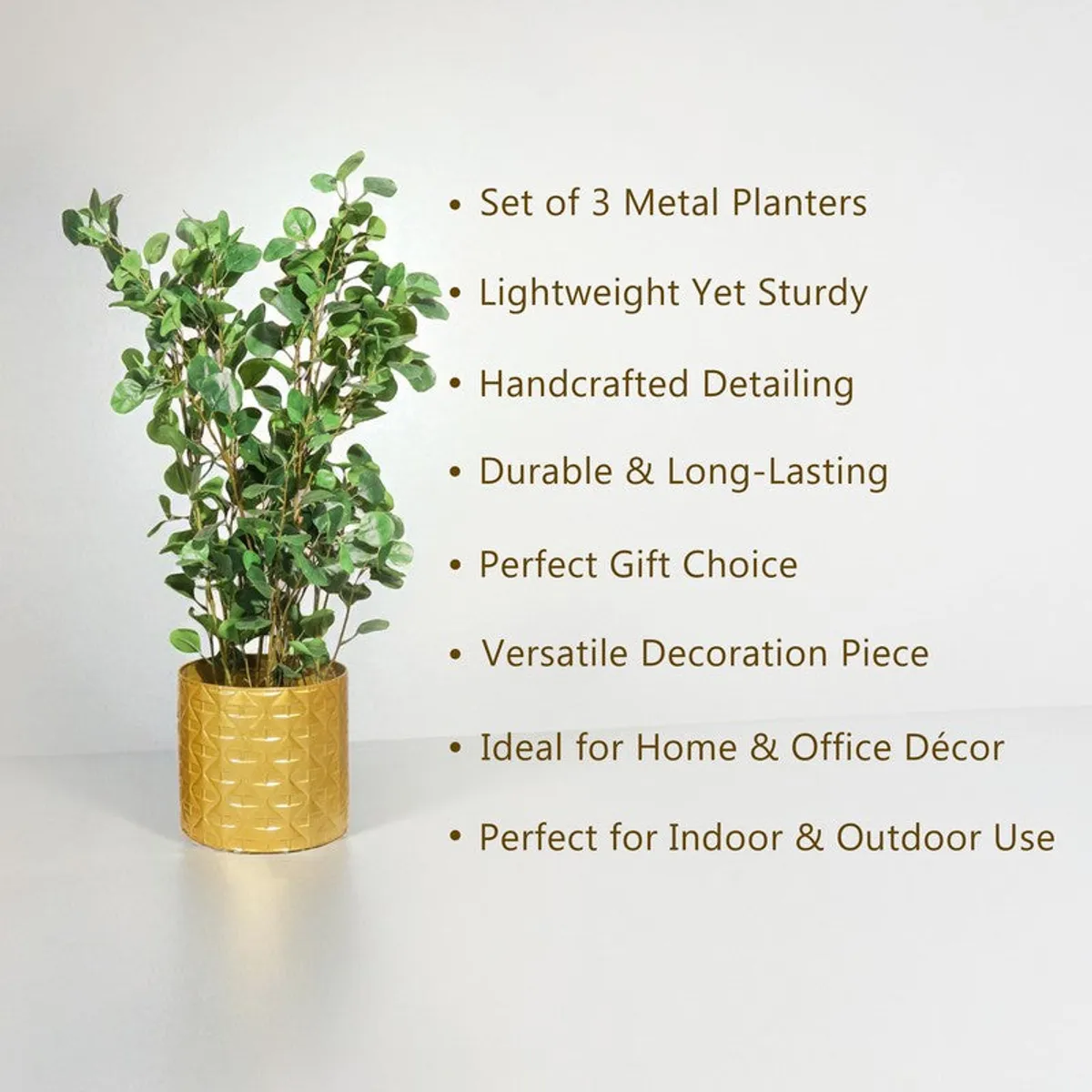 Gold planter with green foliage beside a graphic list of product highlights.