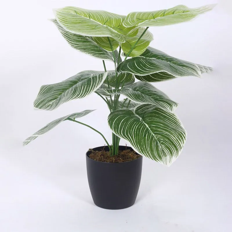 Faux Realtouch White Dieffenbachia Tree With Black Plastic Pot - 1.8 Feet media 6