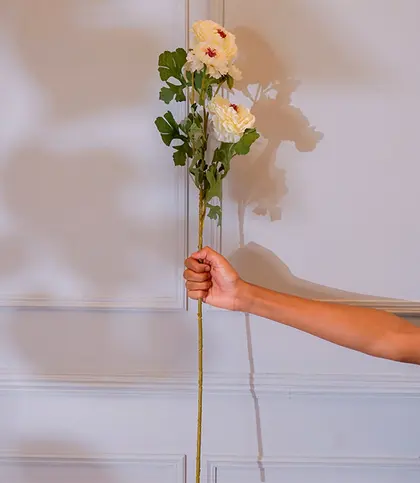 Fabric · Plastic