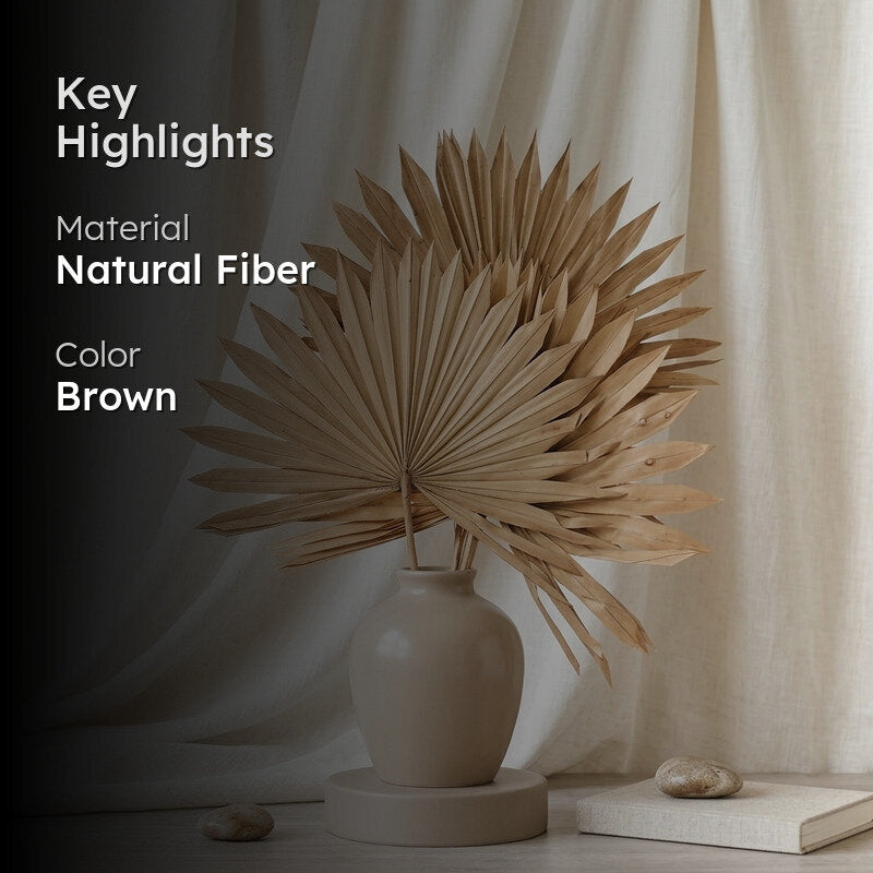 (Brown) Sun Palm Spear (20 cms) - Set Of Five Stems media 2