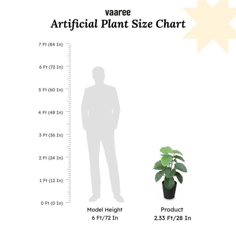 Serene Space Alocasia Artificial Plant Without Pot - 2.3 Feet media 7