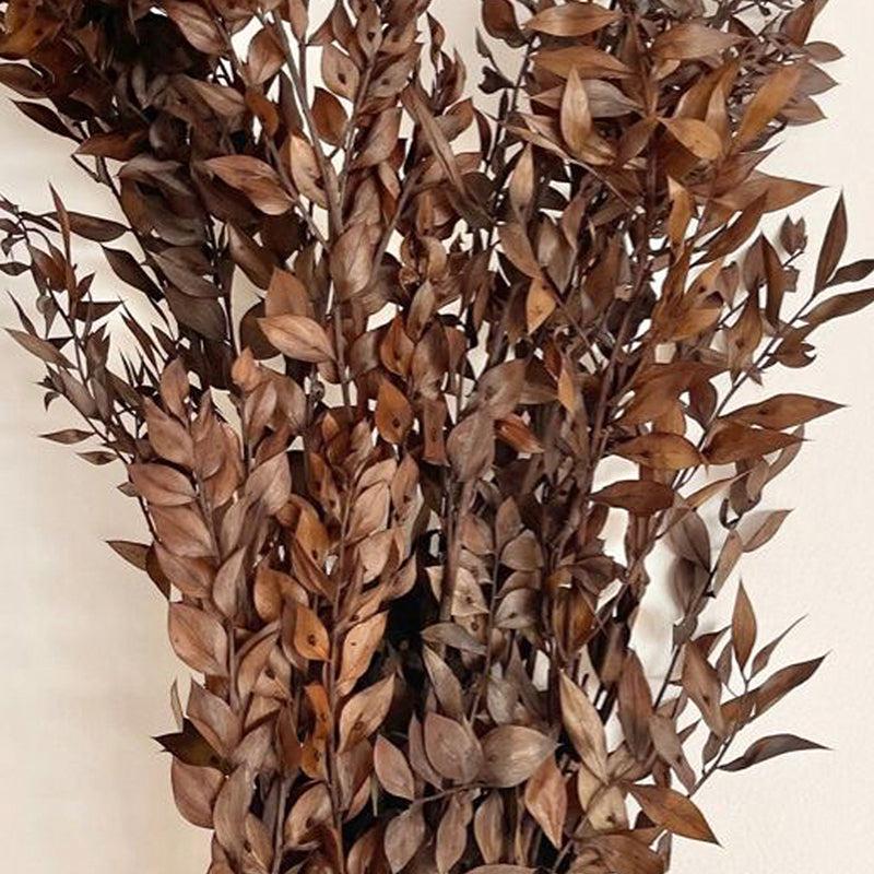 Dried Ruscus Bunch (Brown) - Set Of Three media 4