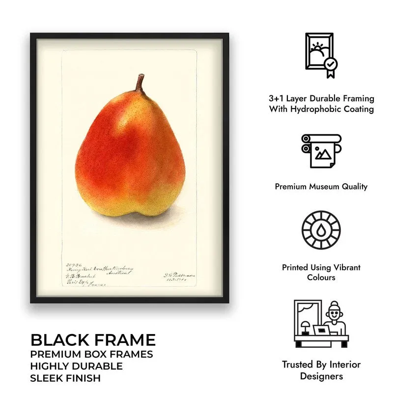 FruitPunch Archival Canvas Wall Art - Black media 9